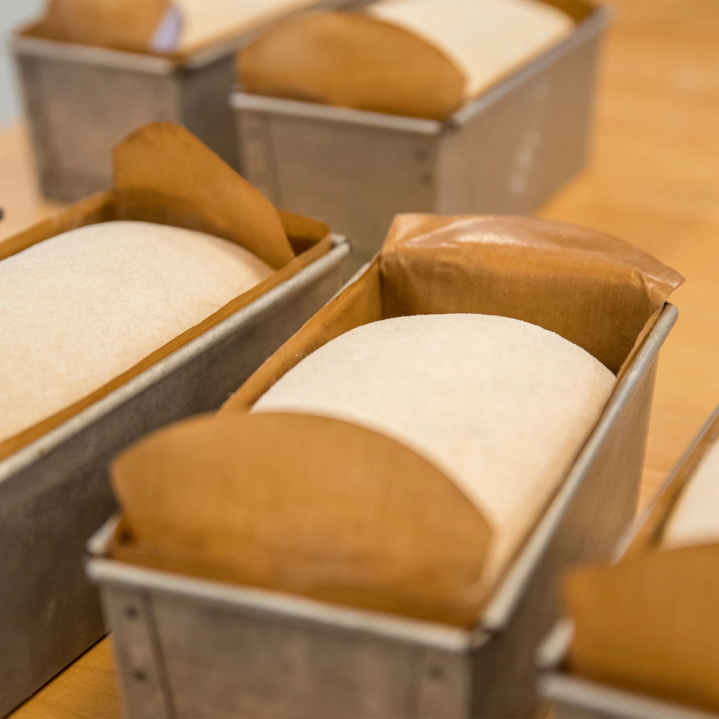 Brotlaibe in Backformen mit Papier ausgekleidet, bereit zum Backen