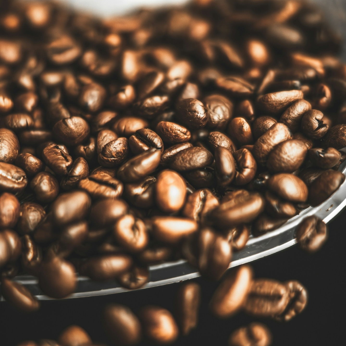 Primo piano di chicchi di caffè tostati in una ciotola, con focus sui chicchi, scuri e ricchi.