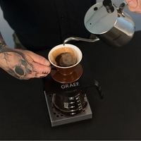 Pot de café Precisa Acier inoxydable