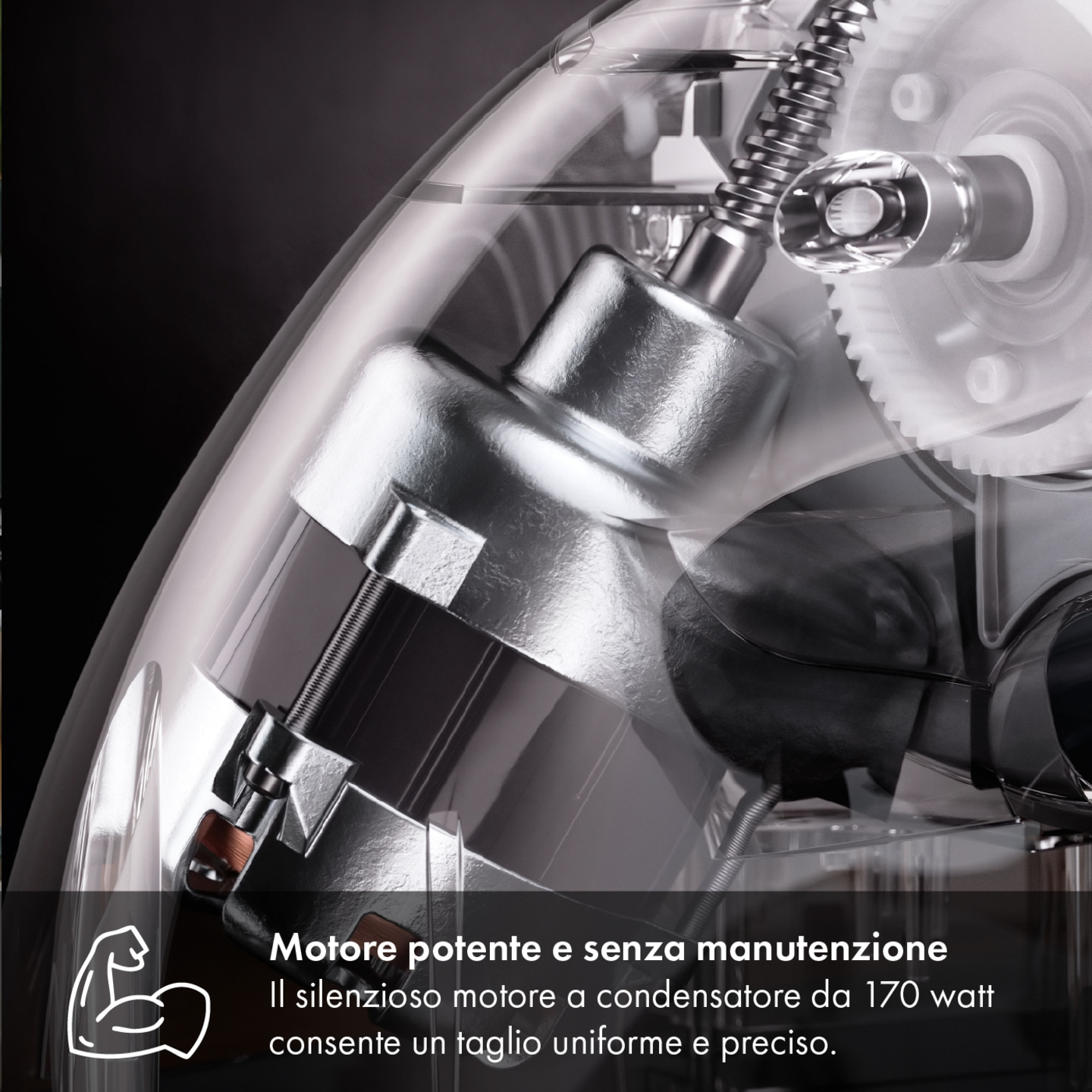 Allesschneider MASTER M20, silber meisterlich feine Schnitte
