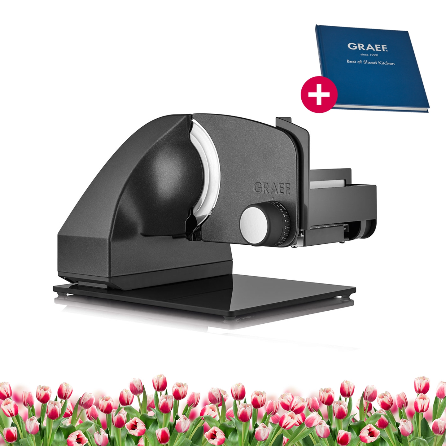 Trancheuse universelle MASTER M95, gris fer micacé y compris dispositif de retrait des couteaux & accessoire-Combi PRO