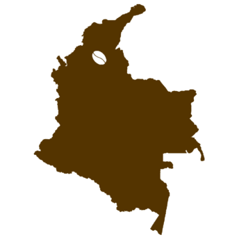 Carte de la Colombie avec grain de café, marron et vert, culture du café