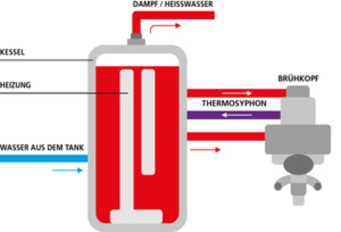 Machine à café avec chaudière, chauffage, thermosiphon et groupe de brassage pour le café.