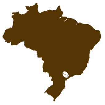 Carte du Brésil avec grain de café, contour marron sur fond vert