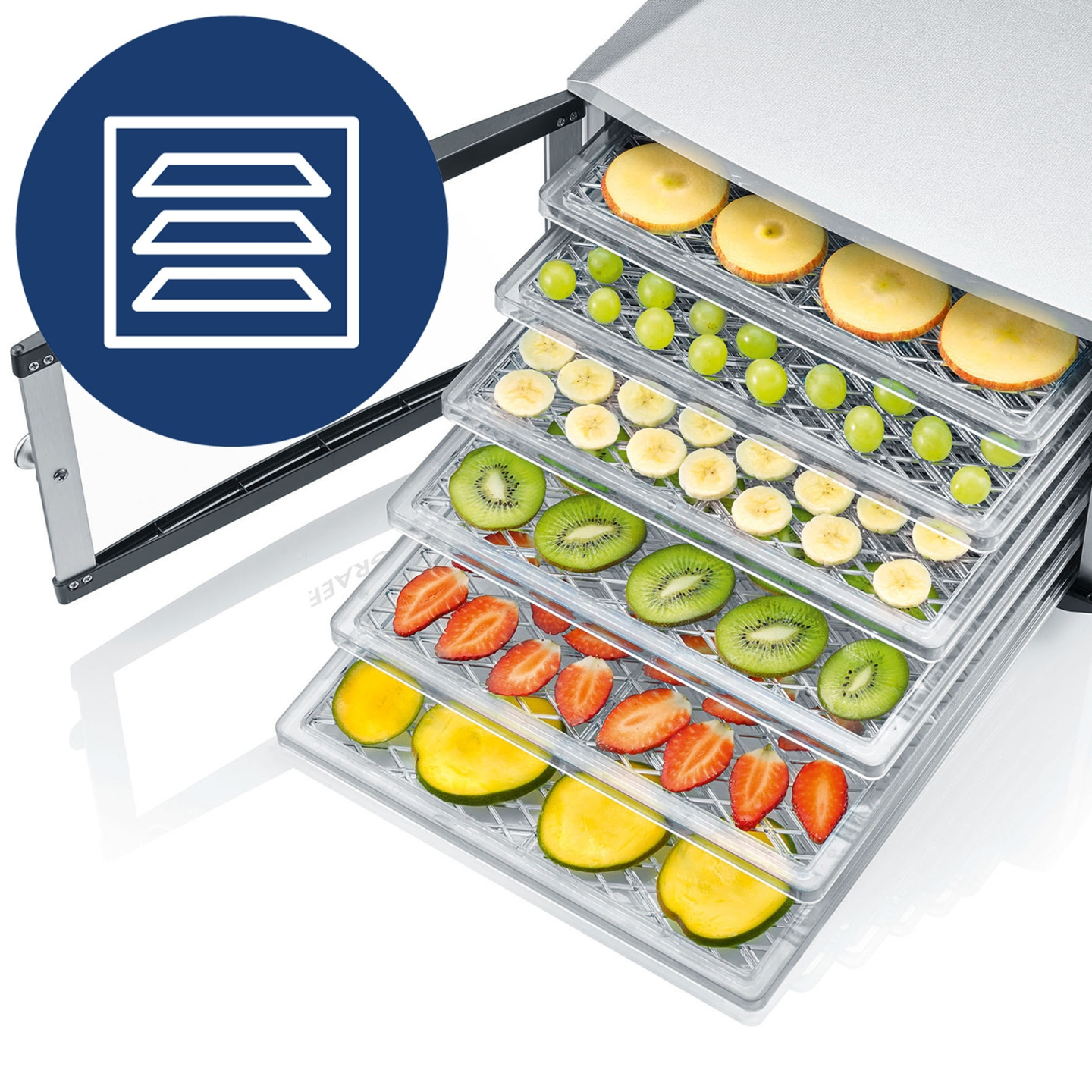 Dehydrator DA510 with 10 slots